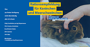 Rationsempfehlung für Kaninchen und Meerschweinchen